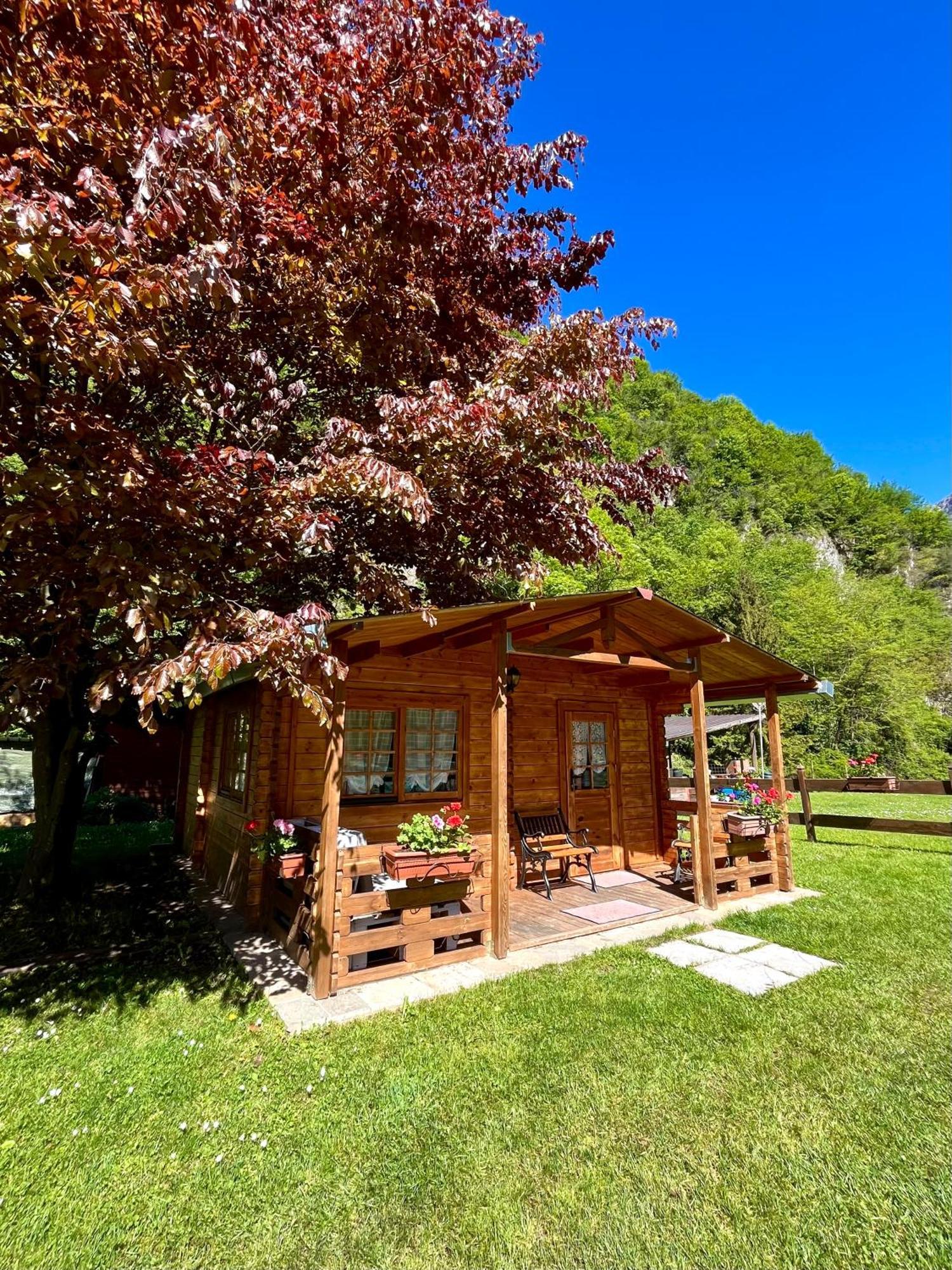 Agriturismo La Vecchia Chioderia Grandola ed Uniti Exterior foto