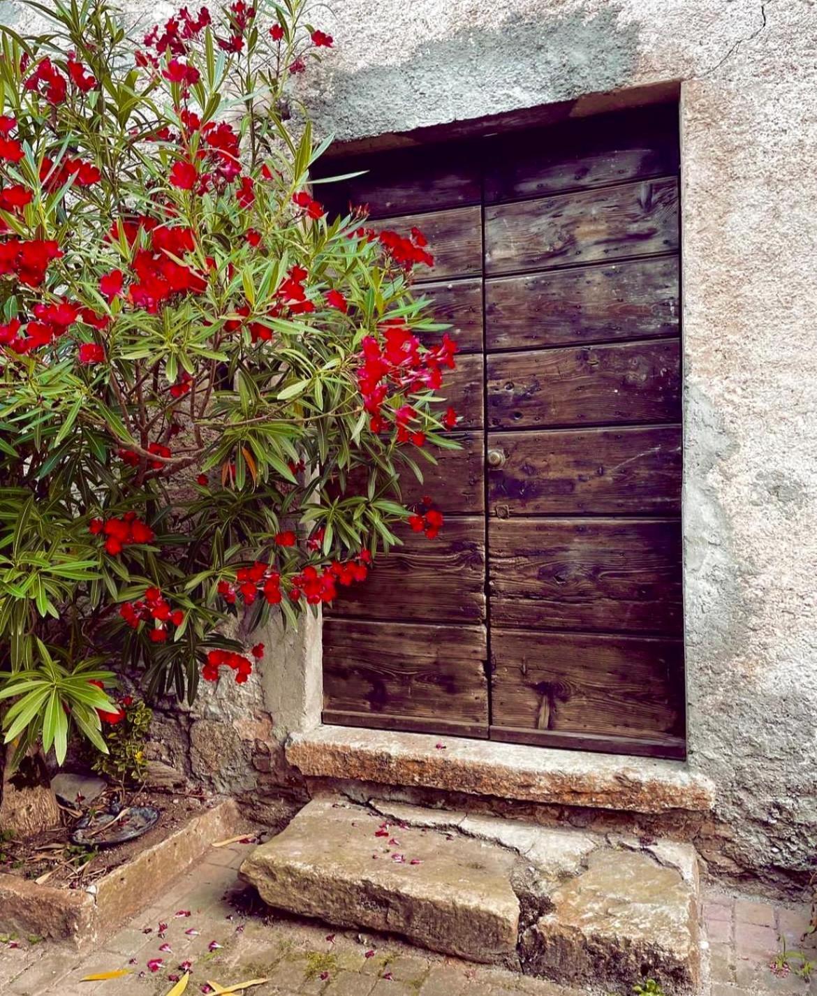 Agriturismo La Vecchia Chioderia Grandola ed Uniti Exterior foto