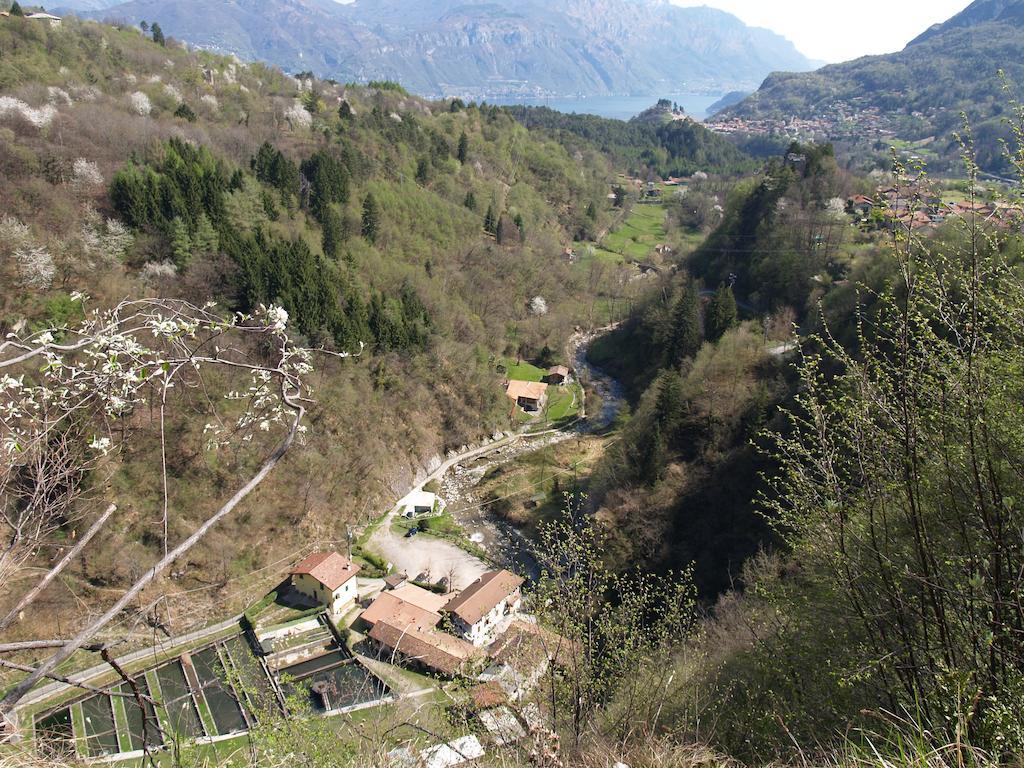 Agriturismo La Vecchia Chioderia Grandola ed Uniti Exterior foto