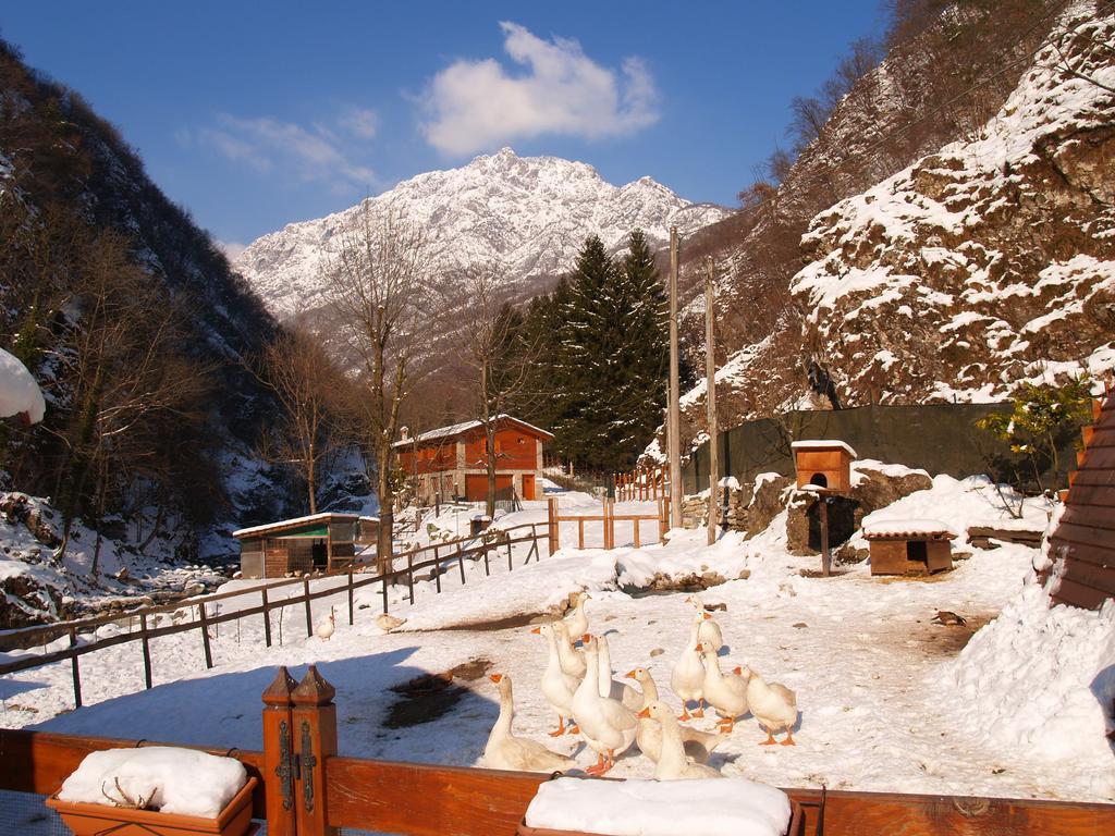 Agriturismo La Vecchia Chioderia Grandola ed Uniti Exterior foto